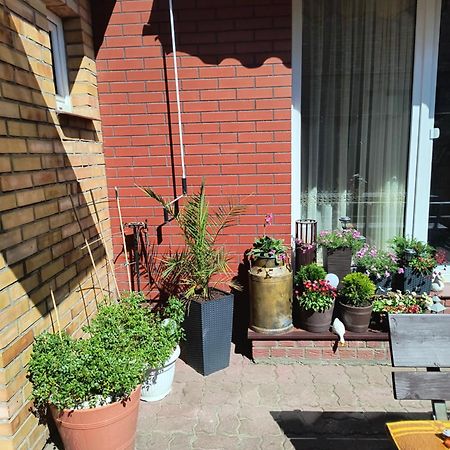 Ogrodek U Eli Apartment Kolobrzeg Bagian luar foto